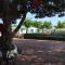 Camping el Pinar Platja