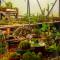 Eco Granja Don Lolo