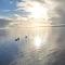 4 person holiday home in Ringkøbing-By Traum