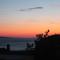 Apartmens Villa Antonio 88