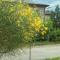 B&B Casale Giovannozzi