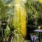 Loadstar Rooms & Suites
