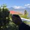 Soods Himalayan Vista
