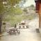 Agros Timber Log House
