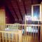 Agros Timber Log House
