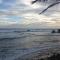 Jayanthi Surf Dreams