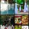 Villa Bella Boutique Hotel - 卡瓦达尔奇
