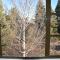 Creel House Bed and Breakfast