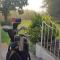 Meander In - Howick