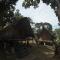 Pai Yard Guest House