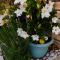 Fynbos Single Stay