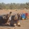 Riad Aicha & Camel Trekking - 梅尔祖卡