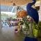 Tres Palmas Boutique Hotel