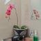 Lush Tropical Villa Central Amed