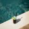 Grand VM Conference & SPA