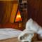 Xtambaa Cabins & Spa Only Adults