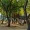 Olmue Natura Lodge & Spa