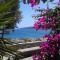 Foto: Boutique Hotel Tilos Mare 70/182