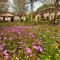 Andrea Sofi Guesthouse