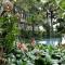 The Nature & Villas