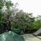 Kelly‘s Courtyard Hotel