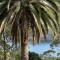 Palm Beach Bed & Breakfast