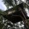 Pemsees Tree Town - Eco Treehouse Hostel