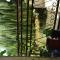 Le Moulin de Bassac photo 17