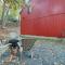 Fire Pit and Gas Grill Charming Poconos Abode!