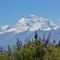 Andes Domos