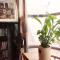 Able Guesthouse Hongdae