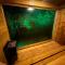 Wild Escape Racha