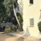 Wayside Beach Apartments