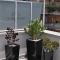 Glamroom Luxury Terrace