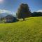 Naturchalet Forster