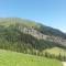 Almhütte Senfter