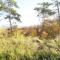 6 person holiday home in Hadsund-By Traum