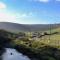 Bryn Rhos Goch