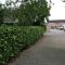 Btween Maas & Waal