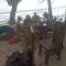 Jayanthi Surf Dreams