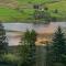 Foresters Retreat Glamping - Cambrian View- Vaccinated dogs over the age of 2 are accepted