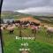 Foresters Retreat Glamping - Dinas View - Vaccinated dogs over the age of 2 are accepted
