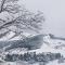 Fiocco di Neve