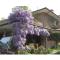B&B Les Fleurettes
