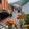 Guest House Adilaj