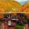 Vilat Pllumaj