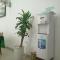 catba sunrise hotel