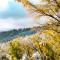 Shady Brook Inn Village/Resort