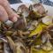 A03 - Central 1 Bed Apartment
