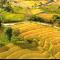Sapa Tatu Homestay